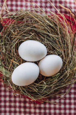 Doğal bir yuvada taze beyaz yumurtalar.