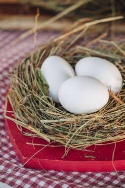 Doğal bir yuvada taze beyaz yumurtalar