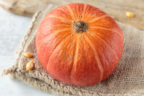 Calabaza Kuri — Foto de Stock