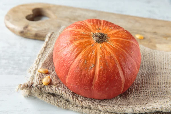 Calabaza Kuri — Foto de Stock