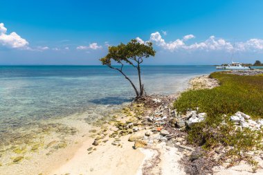 Cayo Blanco, Küba