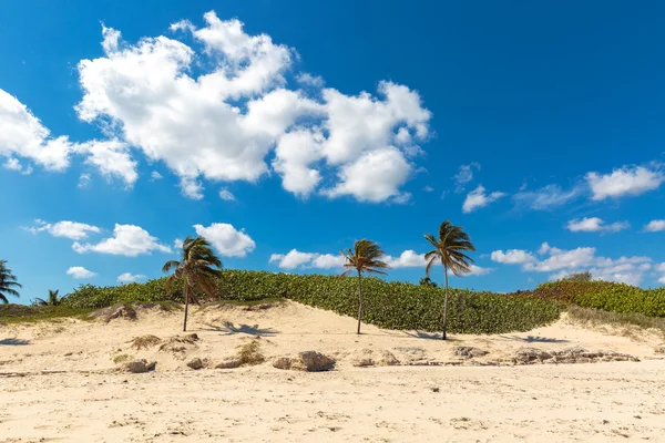 Playa del Este Cuba — Stock Photo, Image