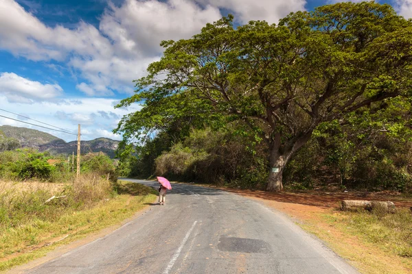 Vinales — Stockfoto