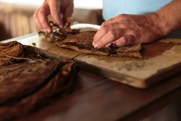 Tabaco — Foto de Stock