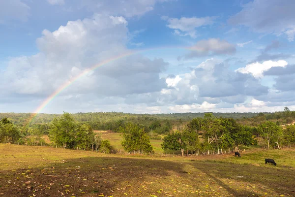 Vinales — Stock fotografie