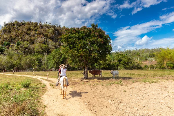 Valle di Vinales — Foto Stock