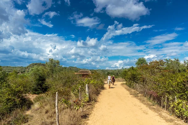 Vinales-Tal — Stockfoto