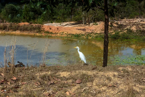 Vinales Valley — Stockfoto