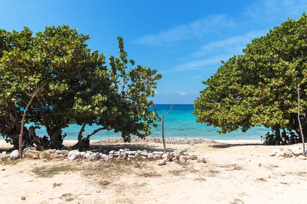 White sand beach in Cuba — Stock Photo, Image