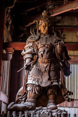 Nara, Japonya
