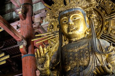 Nara, Japonya