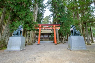 Mount Koya, Japonya