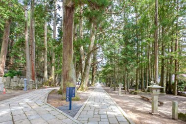 Mount Koya, Japonya