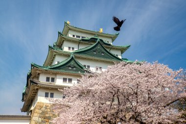 Nagoya Kalesi