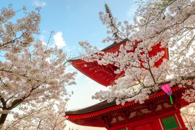 Miyajima, Japonya