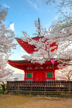 Miyajima, Japonya