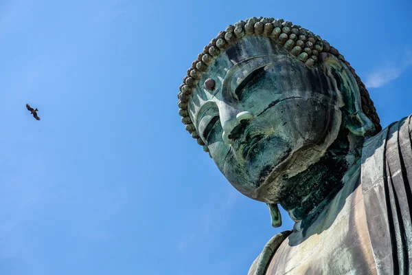 Le Grand Bouddha de Kamakura, Japon — Photo