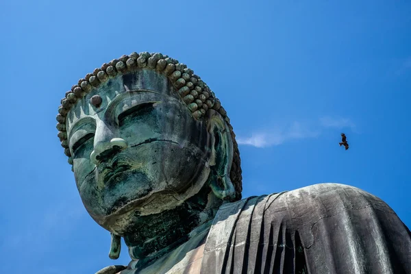 Le Grand Bouddha de Kamakura, Japon — Photo