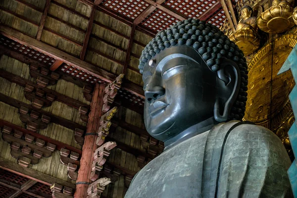 Nara, Japón —  Fotos de Stock