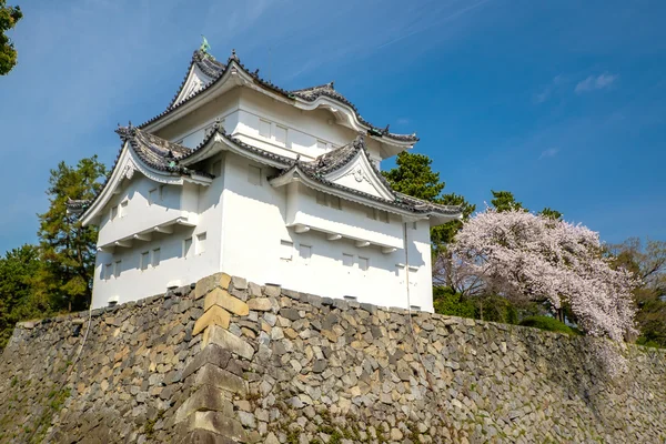 Castello di Nagoya — Foto Stock