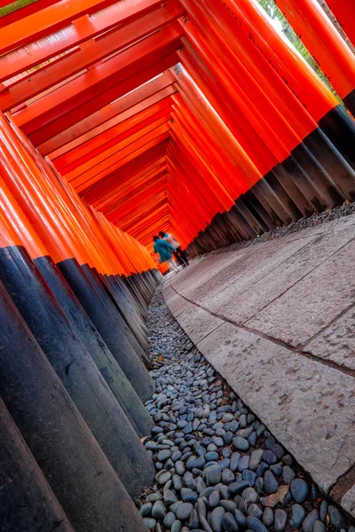 京都伏见 inari — 图库照片