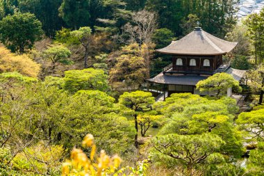 Tipik Japansese pagoda