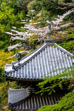 Tipik Japansese pagoda
