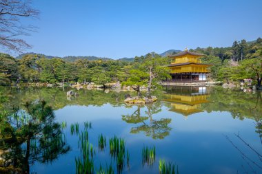 Altın Tapınak, Japonya
