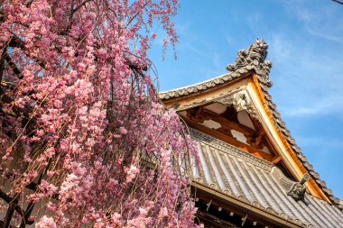 Tipik Japansese pagoda