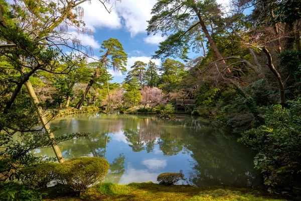 Jardin japonais typique — Photo
