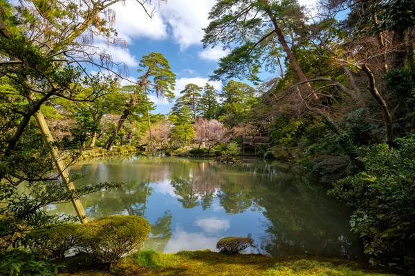 Jardín japonés típico — Foto de Stock