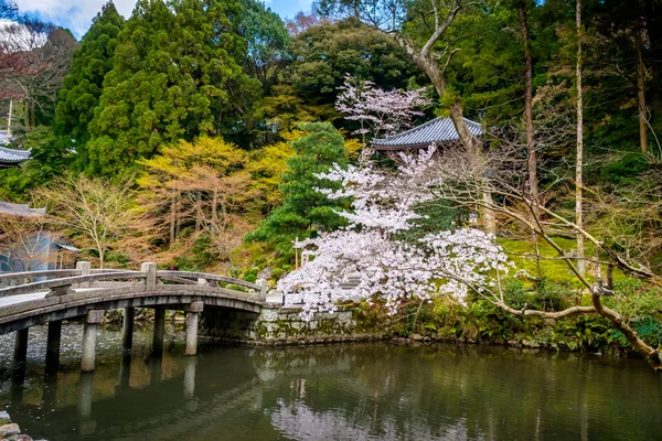 Tipik bir Japon bahçesi — Stok fotoğraf