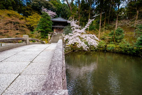 Jardín japonés típico — Foto de Stock