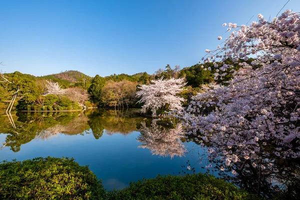 Jardín japonés típico — Foto de Stock