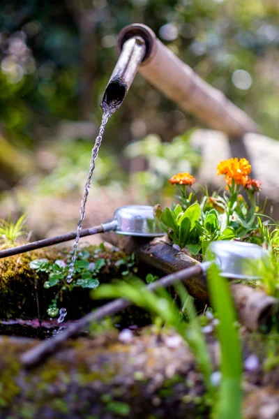 Typical Japanese garden — Stock Photo, Image