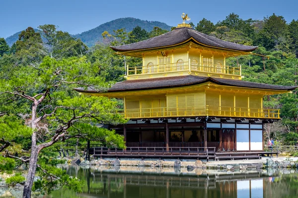 Goldener Tempel, Japan — Stockfoto