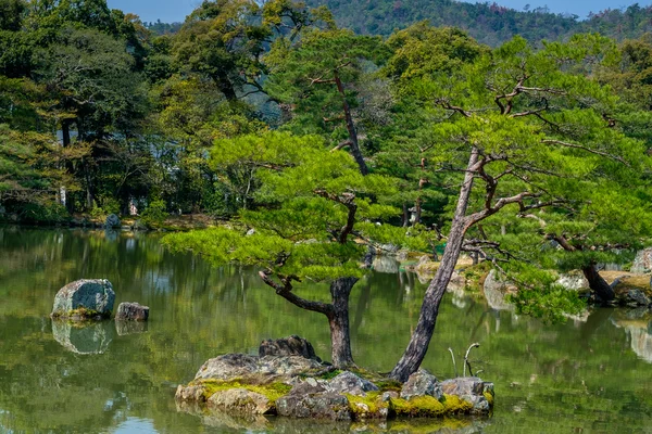 Jardín japonés típico — Foto de Stock