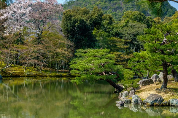 Typisch japanischer Garten — Stockfoto