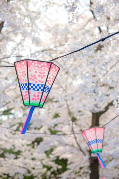 Sakura blooms in Japan — Stock Photo, Image