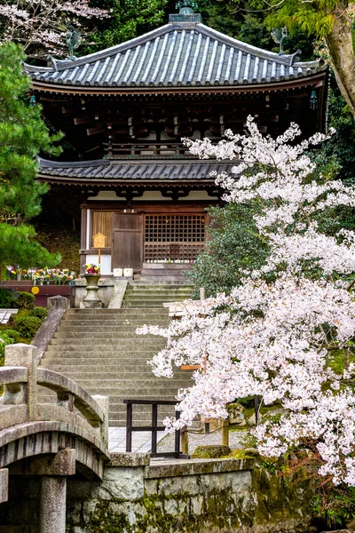 Pagode japonês típico — Fotografia de Stock