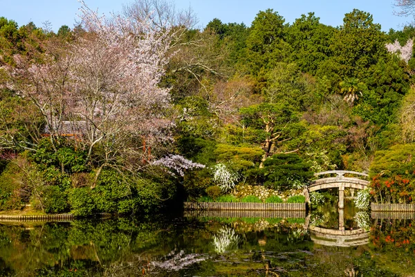 Hermoso jardín japonés — Foto de Stock