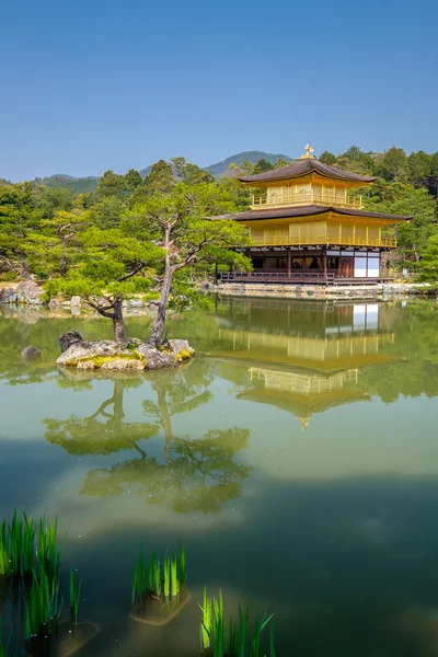 Goldener Tempel, Japan — Stockfoto