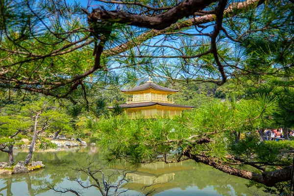 Goldener Tempel, Japan — Stockfoto