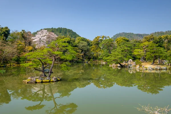 Красивый японский сад — стоковое фото