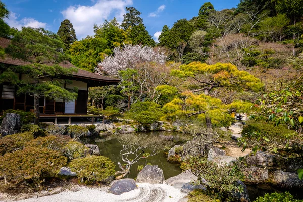 Hermoso jardín japonés — Foto de Stock