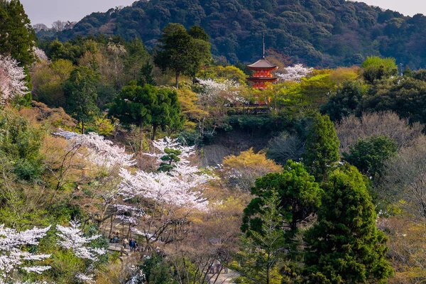 Templo de Kyoto Japón — Foto de Stock
