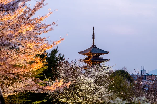 Templo em kyoto — Fotografia de Stock