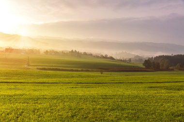 Romantik road, Almanya