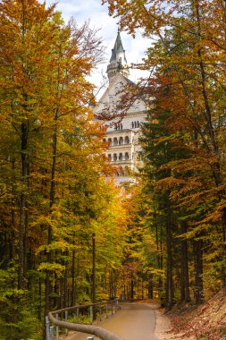 Almanya 'daki Neuschwanstein kalesi