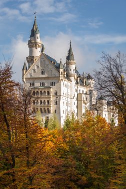 Almanya 'daki Neuschwanstein kalesi